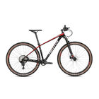 Carbon MTB Bicycle With SRAM NX 11S Inner Cables Routing Mountain Bike For Sale